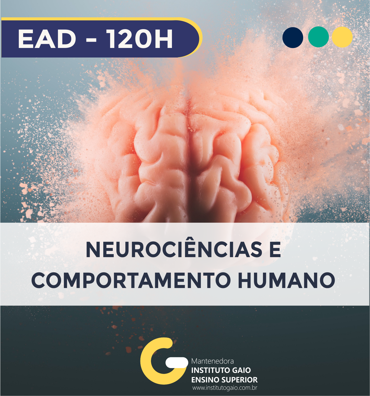 Neurociências e Comportamento Humano – 120h