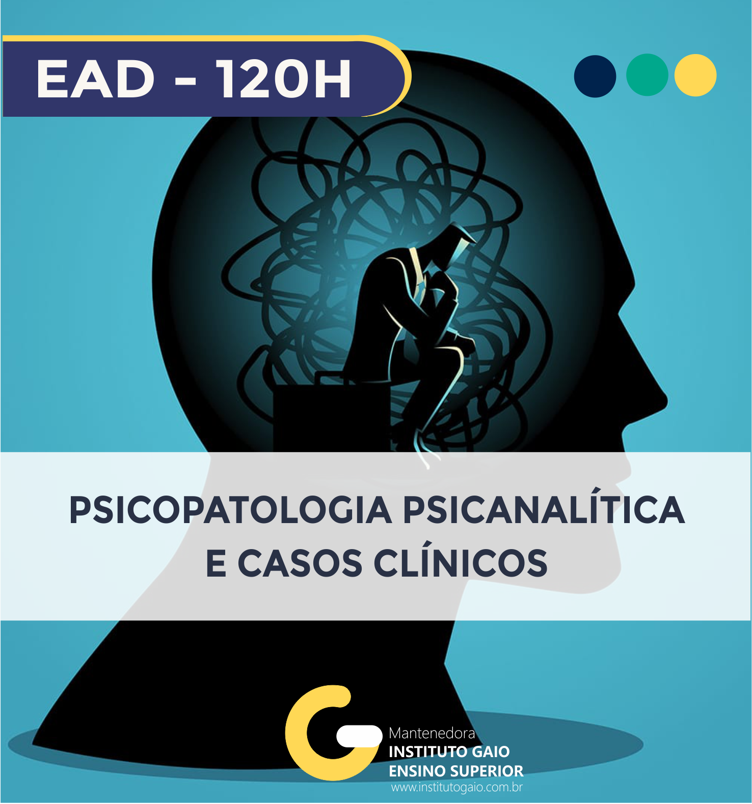 Psicopatologia Psicanalítica e Casos Clínicos – 120h
